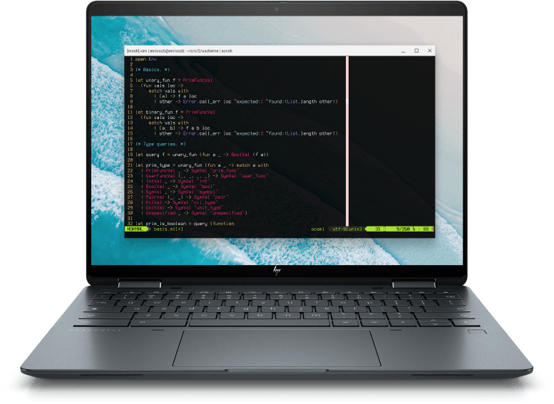 Chromebook with a Linux on Chrome OS terminal opened and visible on the desktop.