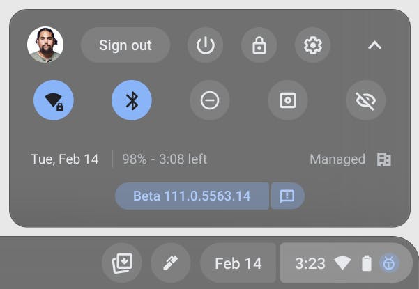 Channel labeling UI showing the user on Beta with the ChromeOS version they're on