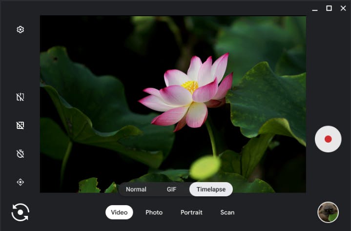 Timelapse mode in the built-in camera app, showing a timelapse video of a pink flower surrounded by green leaves. The timelapse option is available under the Video category after Normal and GIF.